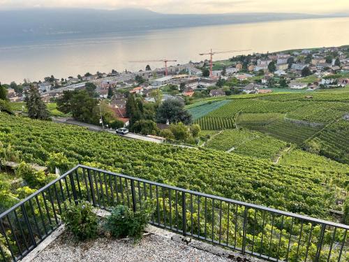 Kilátás, Newly Renovated APT with panoramic view in Cully Kilátás, Newly Renovated APT with panoramic view in Cully