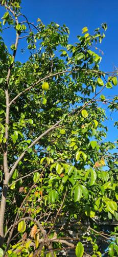 Bed & Shower Stop in Smith Bay Bed & Shower Stop in Smith Bay