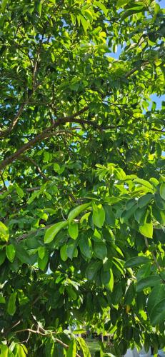 Bed & Shower Stop in Smith Bay Bed & Shower Stop in Smith Bay
