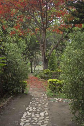This photo about Forest Hills Farm and Guesthouse shared on HyHotel.com