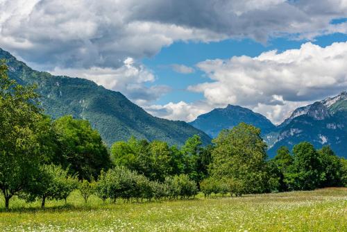This photo about Agriturismo Casa de Bertoldi shared on HyHotel.com