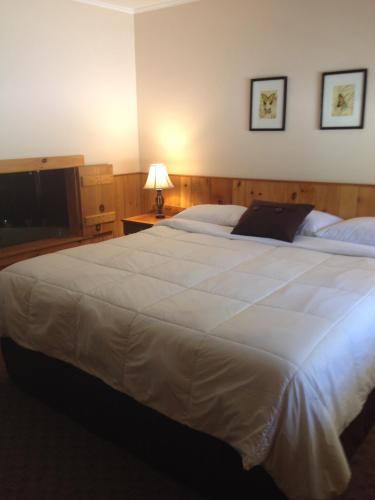 This photo about Wiley Inn shared on HyHotel.com