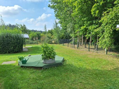 Ferienwohnung am Wald in Λένγκενφελντ Ferienwohnung am Wald in Λένγκενφελντ