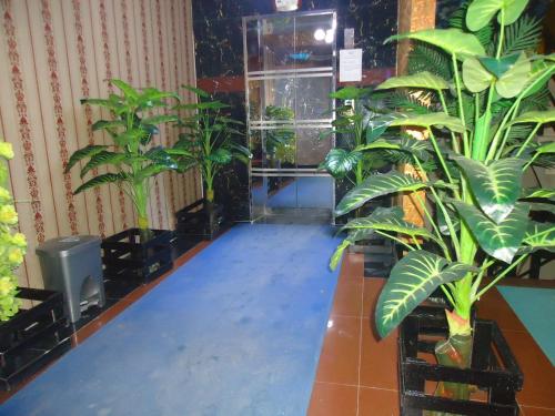 Muscat Holiday Resort in Cox's Bazar Muscat Holiday Resort in Cox's Bazar