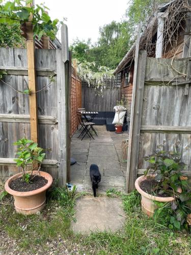 Self-contained studio with patio in Ware Self-contained studio with patio in Ware