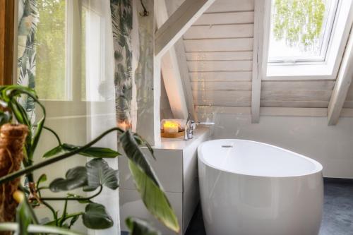 Fürdőszoba, ZielonoMi in Mierki Fürdőszoba, ZielonoMi in Mierki