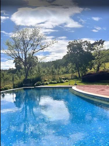Úszómedence, Coffeeberry Hills Chikamagalur in Csikmagalur Úszómedence, Coffeeberry Hills Chikamagalur in Csikmagalur