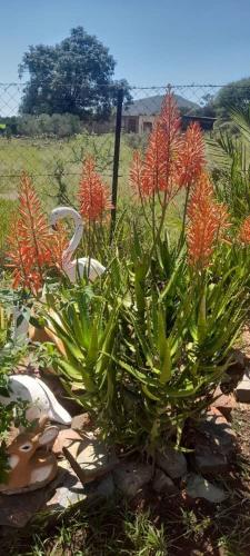 The Oval House in Lobatse The Oval House in Lobatse