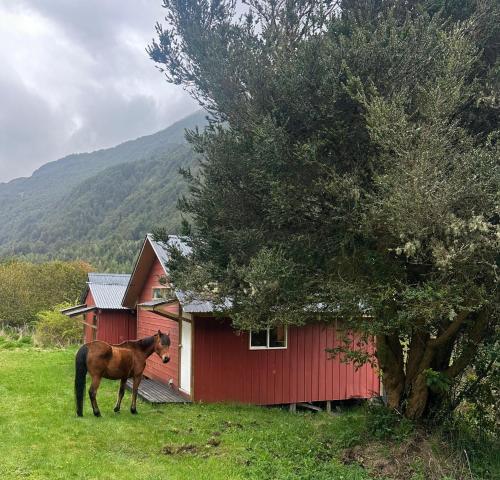 Refugio Siete Robles in Puerto Aisen Refugio Siete Robles in Puerto Aisen