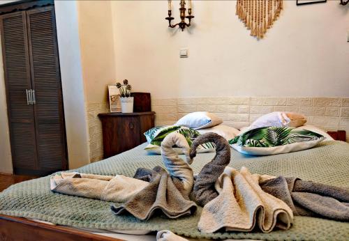 Rákóczi Guesthouse Miskolc (Rakoczi Guesthouse Miskolc) in Miskolc Rákóczi Guesthouse Miskolc (Rakoczi Guesthouse Miskolc) in Miskolc