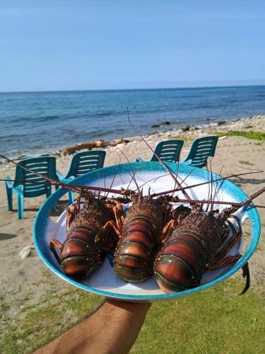 Casa Cerdena in Catia La Mar Casa Cerdena in Catia La Mar