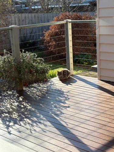 บริการและสิ่งอำนวยความสะดวก, Neeri Home in เนียริมใต้ บริการและสิ่งอำนวยความสะดวก, Neeri Home in เนียริมใต้