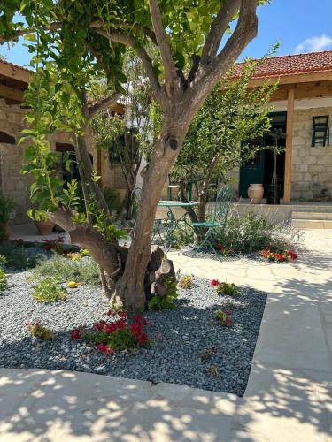 Siren Village Living in Kallepeia Siren Village Living in Kallepeia