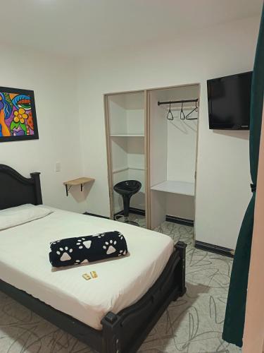 Hotel Confort Boutique in Rio Negro Hotel Confort Boutique in Rio Negro