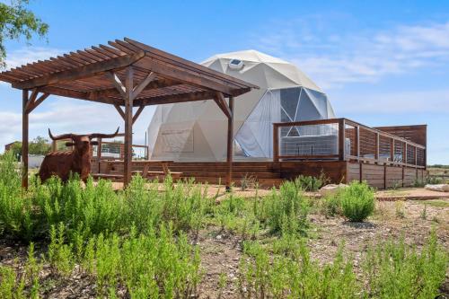 Luxury Glamping Dome on Texas Farm in 聖馬可斯 Luxury Glamping Dome on Texas Farm in 聖馬可斯