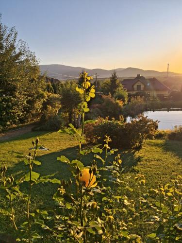 Kilátás, Dom Borowski in Bukowiec Kilátás, Dom Borowski in Bukowiec