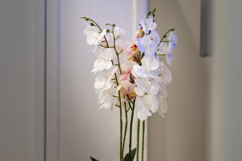 Hotel Kali Sorrento in Sorrent Hotel Kali Sorrento in Sorrent