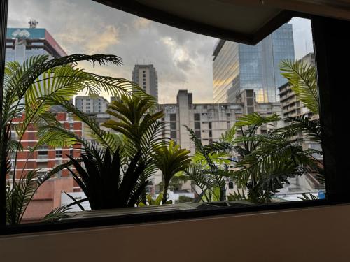 Hospedaje Premium en Bello monte-Sabana grande in Parroquia El Recreo Hospedaje Premium en Bello monte-Sabana grande in Parroquia El Recreo