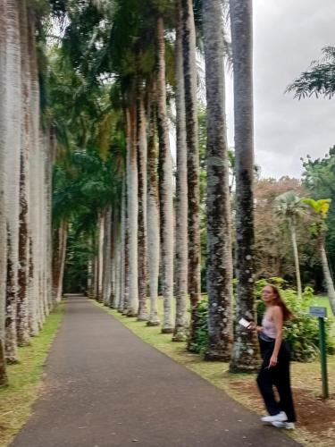 Rootscamp in 벨 옴브레 Rootscamp in 벨 옴브레