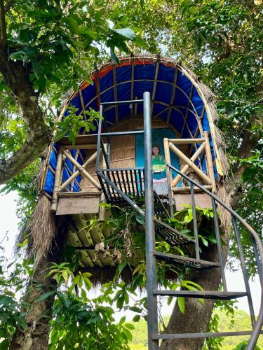 Kilátás, Pemsee's Tree Town - Eco Treehouse Hostel in Chitwan Kilátás, Pemsee's Tree Town - Eco Treehouse Hostel in Chitwan