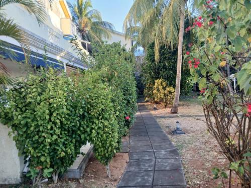 Les Latanier Complex in Flic-En-Flac Les Latanier Complex in Flic-En-Flac