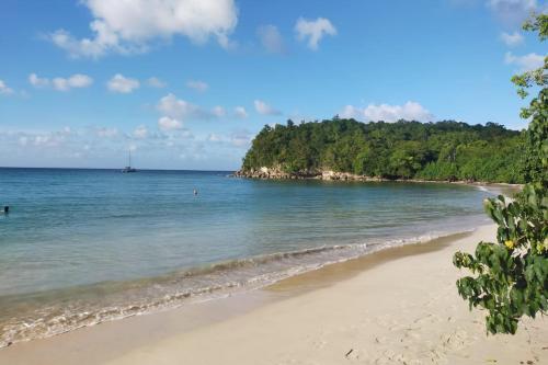 Villa Bleue Papaye in Grand-Bourg Villa Bleue Papaye in Grand-Bourg