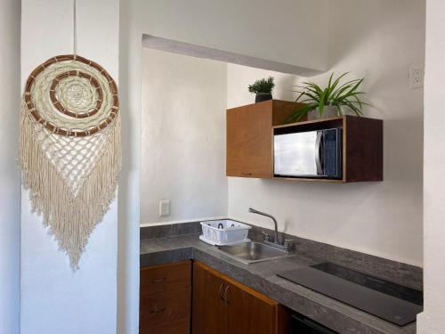 Maui Hostel in Playa Del Carmen Maui Hostel in Playa Del Carmen