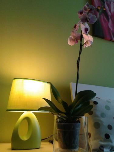 Milan Certosa 3 bedrooms