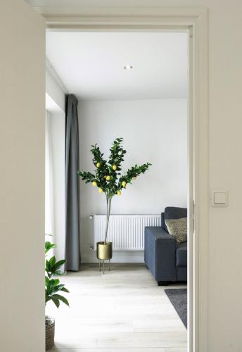 Family-friendly Apartment With Garden & Parking in Strijp Family-friendly Apartment With Garden & Parking in Strijp