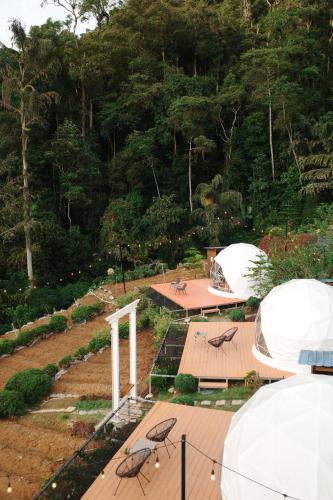 A'moss Farmstay near Gunung Brinchang Barat A'moss Farmstay near Gunung Brinchang Barat