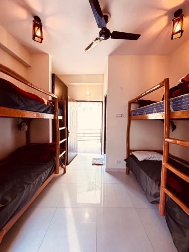 House of Paws in Haripur House of Paws in Haripur