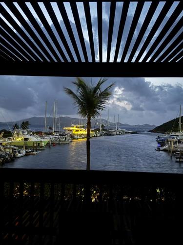 Stunning Seaside Condo on Sapphire Beach with Pool in Red Hook Stunning Seaside Condo on Sapphire Beach with Pool in Red Hook