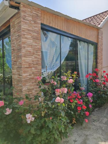 Zeyvə Farm House in II Nugadi Zeyvə Farm House in II Nugadi