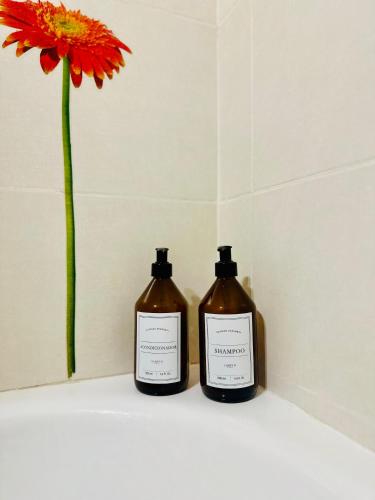 Madera India in 마르 델 플라타 시티 센터 Madera India in 마르 델 플라타 시티 센터