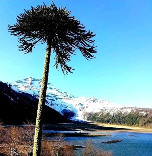 Lara cabañas (Lara cabanas) in Villa Nueva Lara cabañas (Lara cabanas) in Villa Nueva