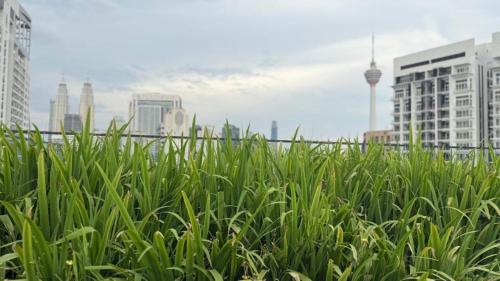 Majestic Residences KLCC By Sky Park in Little India Majestic Residences KLCC By Sky Park in Little India