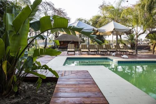 Kolam renang, Gondwana Hakusembe River Lodge in Rundu Kolam renang, Gondwana Hakusembe River Lodge in Rundu
