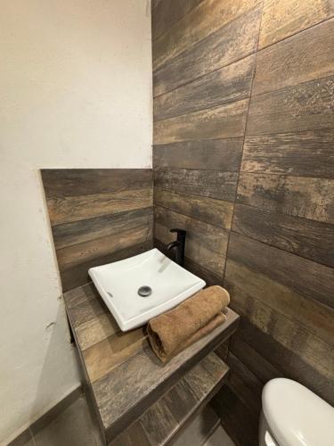 Gitana in Luis Donaldo Colosio Gitana in Luis Donaldo Colosio