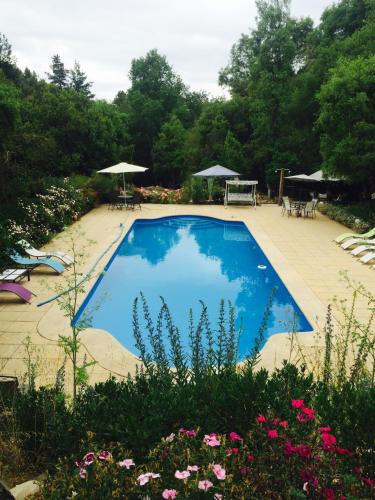 Úszómedence, Cabanas Rahue in Vilches Úszómedence, Cabanas Rahue in Vilches