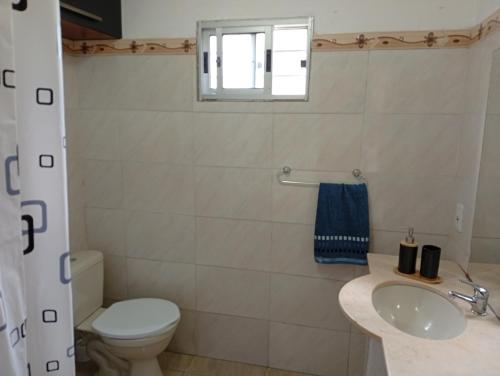 Artemisa in Guazuvira Artemisa in Guazuvira