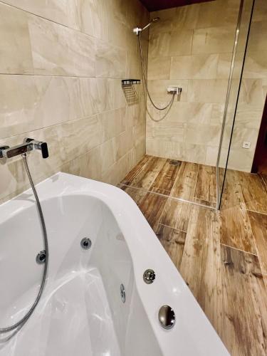 Shower, Wolfstein - Le Boutique Hotel in Bad Harzburg Shower, Wolfstein - Le Boutique Hotel in Bad Harzburg