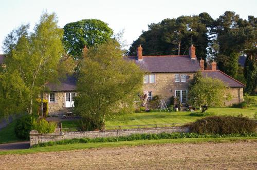 Jardín, The Cottage in Selkirk Jardín, The Cottage in Selkirk
