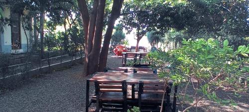 Zosimli Hotel in ทามาเล Zosimli Hotel in ทามาเล