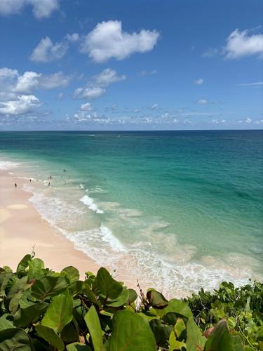 Luxury Oceanview Condo by Poinciana at The Crane in Diamond Valley Luxury Oceanview Condo by Poinciana at The Crane in Diamond Valley