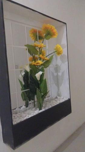 Star Gazer Guesthouse in Ghanzi Star Gazer Guesthouse in Ghanzi