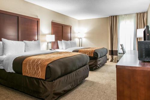 Comfort Inn Blue Ash North in Blue Ash Comfort Inn Blue Ash North in Blue Ash