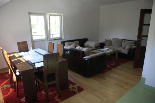 Strutture e servizi, Apartment Mitric in Pluzine Strutture e servizi, Apartment Mitric in Pluzine