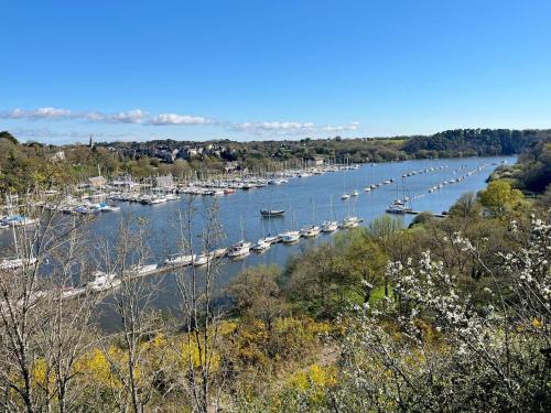 Les roses tremieres in Nivillac Les roses tremieres in Nivillac