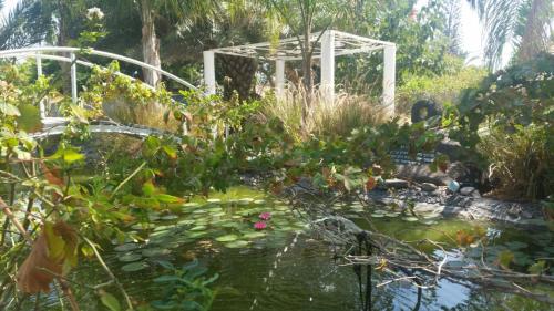 Fasilitas, Kmo Yam In The Love Garden in Menahamiya Fasilitas, Kmo Yam In The Love Garden in Menahamiya