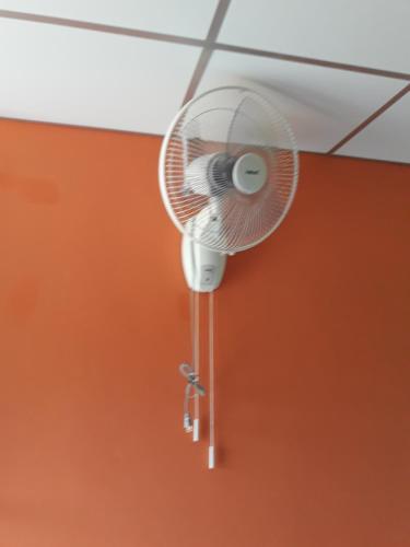 This photo about Cat Bungalow shared on HyHotel.com